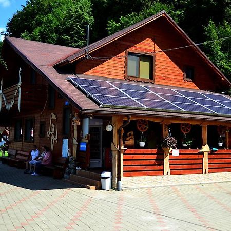 Pensiunea Sequoia Клуж-Напока Экстерьер фото